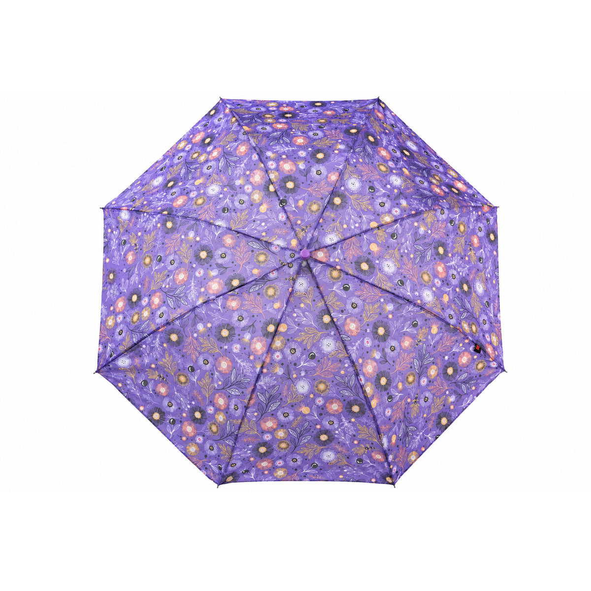 Printed Umbrella - 2 Fold-1040