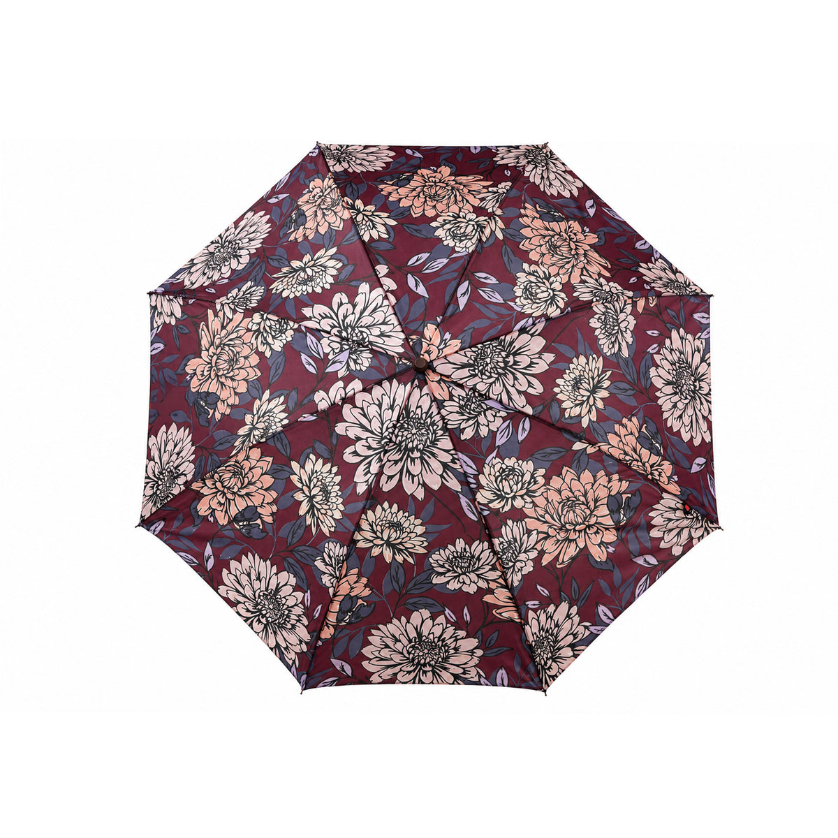 Printed Umbrella - 2 Fold-1040