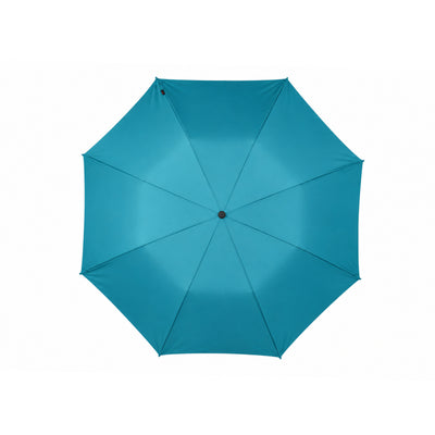 Frame With Pongee Fabric  Premium Collection - 2 Fold Umbrella - TM1644