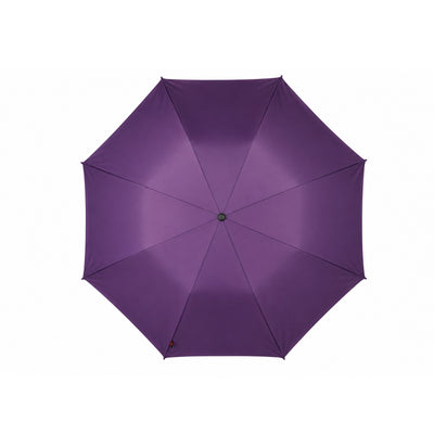 Frame With Pongee Fabric  Premium Collection - 2 Fold Umbrella - TM1644