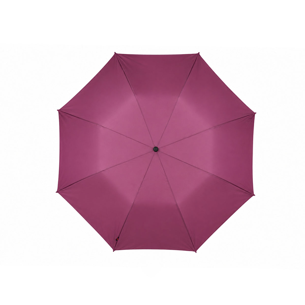 Frame With Pongee Fabric  Premium Collection - 2 Fold Umbrella - TM1644