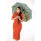 Rainco Mosquito Net
