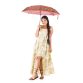 Rainco Mosquito Net