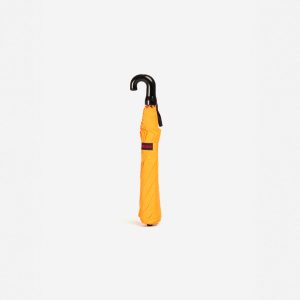 Yellow Curve Handle - Ritual