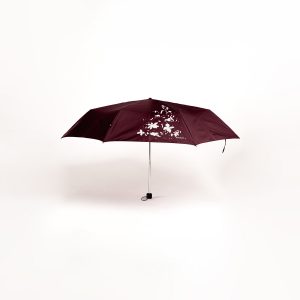 Rainco Mini Range Nano Solid Umbrella - 3 Fold
